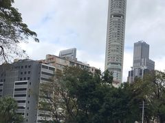 -九龙公园