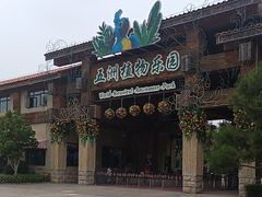 -南宫五洲植物乐园