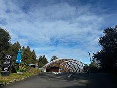 -怀托摩萤火虫洞