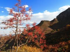 -狼牙山风景区