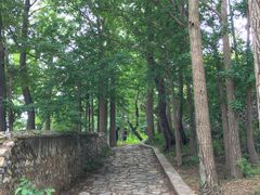 -阳台山自然风景区