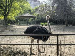 -南昌动物园