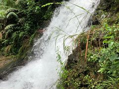 -遂昌金矿国家矿山公园