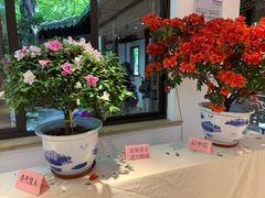 -汇龙潭