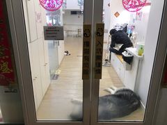 -李小姐の猫咖啡馆(五角场店)