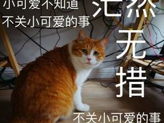 -蜀大侠火锅(古田店)