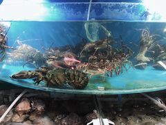 -望海潮海鲜店 特色家常菜(在海一方店)