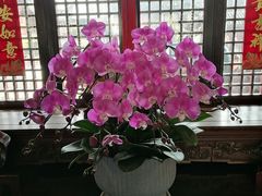 -祝家花園(伯渎港店)