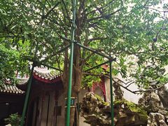 -东山雕花楼