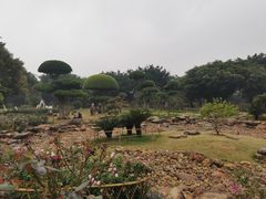 -南宁南湖公园