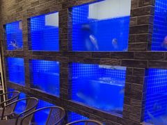 -聚宝渔港.五钻酒家(上地店)