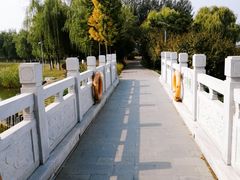 -大兴滨河森林公园