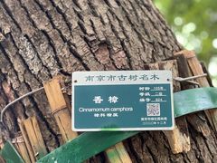 -菊花台公园