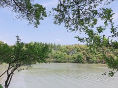 -尚湖风景区