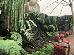 -Fern Forest Cafe