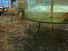 -大方圆酒楼(西门大街店)