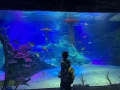 -沈阳海洋探索中心