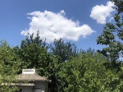 -御林古桑园