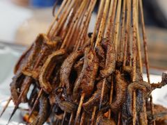 鳝鱼-晓靖轩烧烤(沙河风情店)