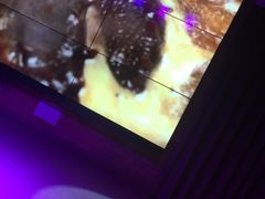 -润青四季音乐主题餐厅·椰子鸡(罗湖店)