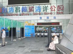 -烟台海昌鲸鲨海洋公园