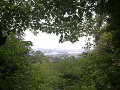 -紫金山山顶公园