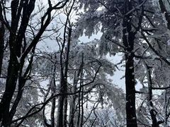 -安吉龙王山峡谷漂流
