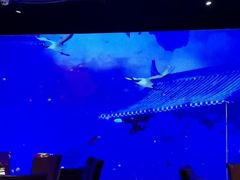 -鼎尚鲜斑鱼莊(新天润店)