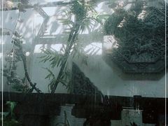 -小湾茶楼