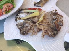 -骏莱海鲜鱼港(五角场店)
