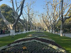 -湖畔居茶楼(湖滨店)