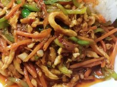 鱼香鸡丝盖饭-臻味斋