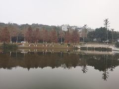 -海兰云天度假区温泉