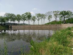 -大塘金香草谷