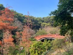 -云溪植物园