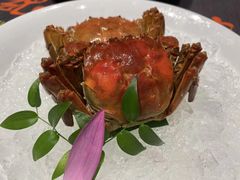 -福玺荟(外滩罗斯福店)