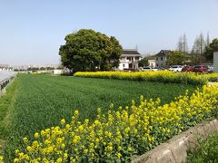 -小鱼草莓采摘园农家乐·小鱼餐厅