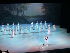 -交通银行前滩31演艺中心