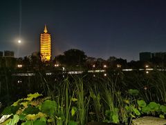 -西海子公园
