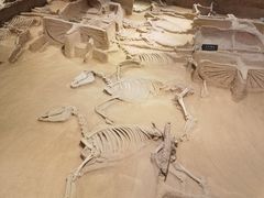 -洛阳周王城天子驾六博物馆