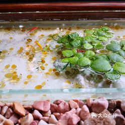 如饴堂的鱼鱼鱼好不好吃 用户评价口味怎么样 天津美食鱼鱼鱼实拍图片 大众点评