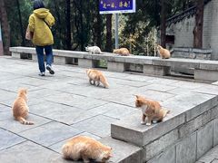 -四门塔风景区