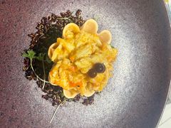 -新光酒家·河豚·海鲜·蟹料理(浦东店)