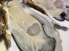 -千岛蚝高压锅生蚝·人参火锅(白云万达店)