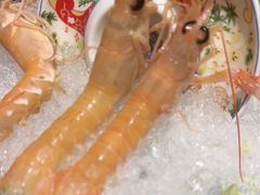 -吉兆·料理(红梅南路店)