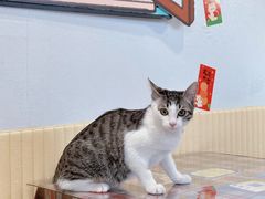 -氷冰凉刨冰甜品(北京路店)