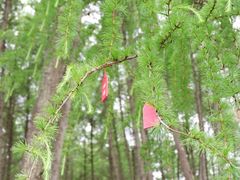 -硗碛藏寨·神木垒景区