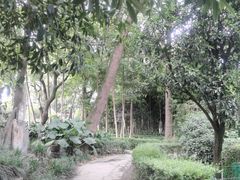-成都市文殊院