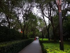 -唐城墙遗址公园