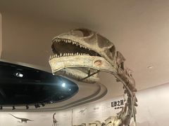 -自贡恐龙博物馆